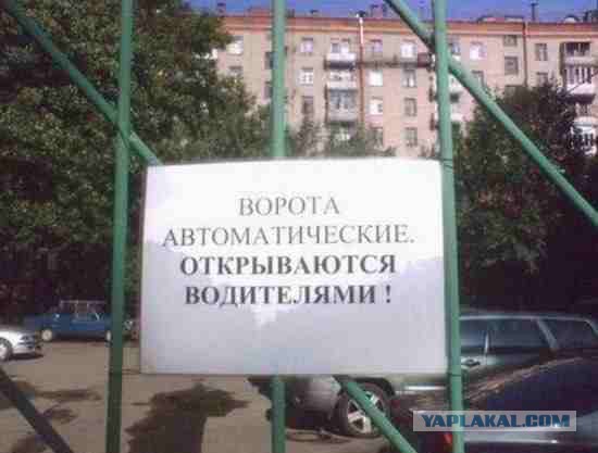 Немножко картинок