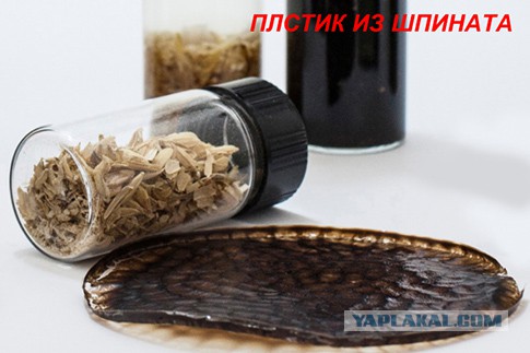 Собака сгрызла Тойоту