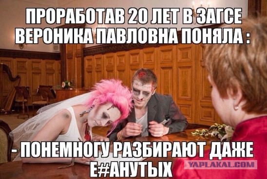 Подборка баянов.