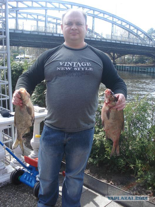 Гастрономическое путешествие мистера Andy, Кулинария для andy2308