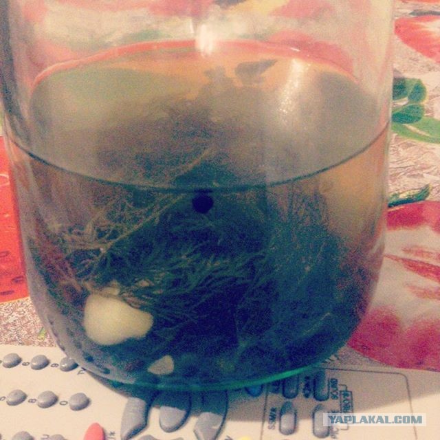Утро 1 го января