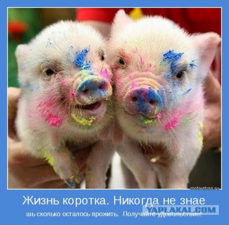 Картинки разные