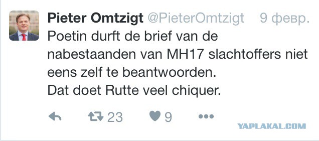 Нидерланды знают, что Боинг сбила Украина