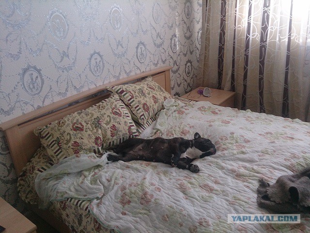 Ну и как с ним подметать?