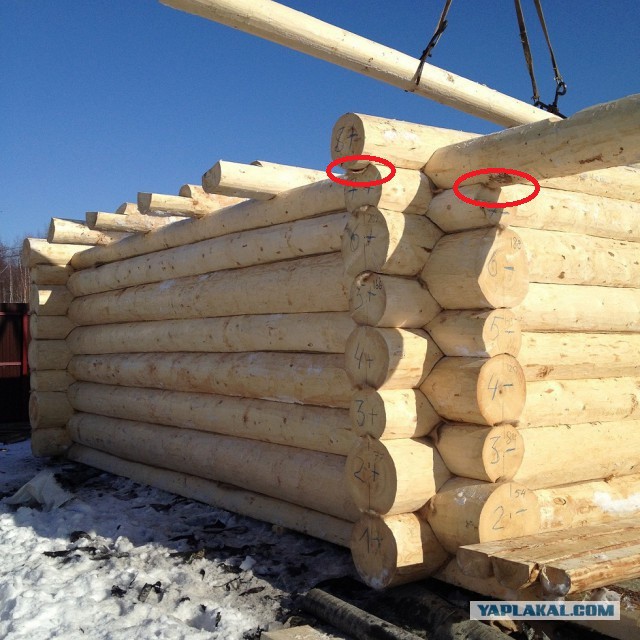 Баня из елки с диаметром 40-42 см. За 1 день.