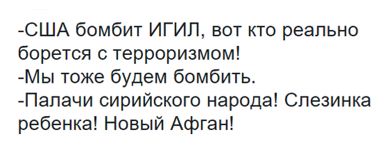 Российские либералы призвали сирийцев сбивать самолеты ВКС РФ