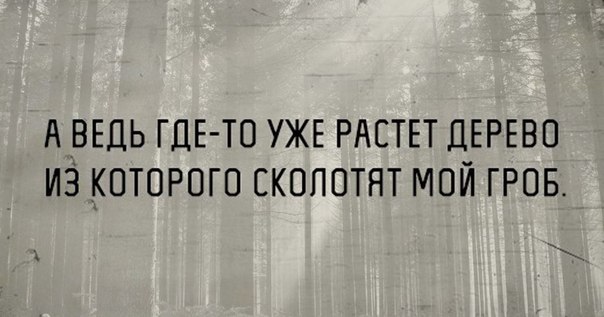 Картинки из сети (07.04.16)