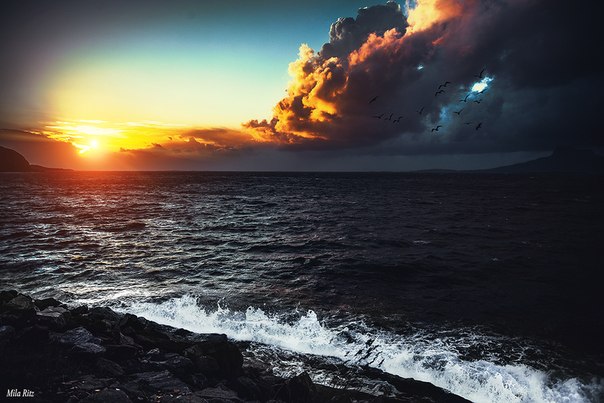 Интересные и веселые картинки