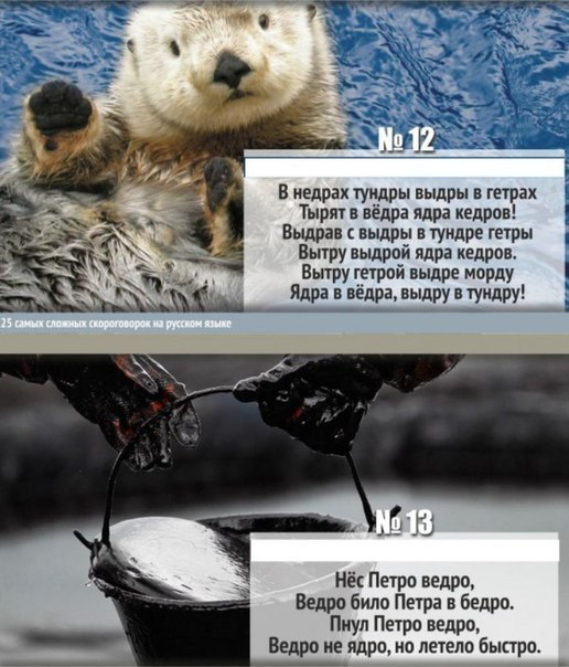 Интересные и веселые картинки