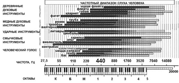 Hi-End головного мозга