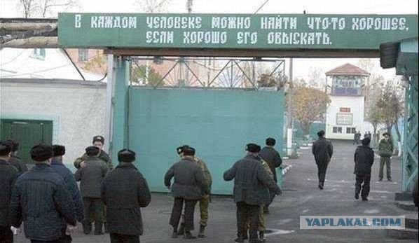 Подборка интересных и веселых картинок