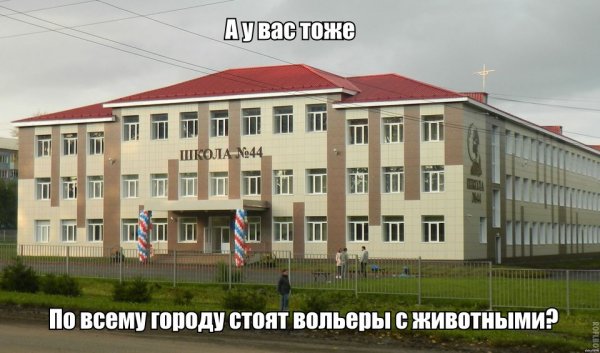 Смотрим и деградируем