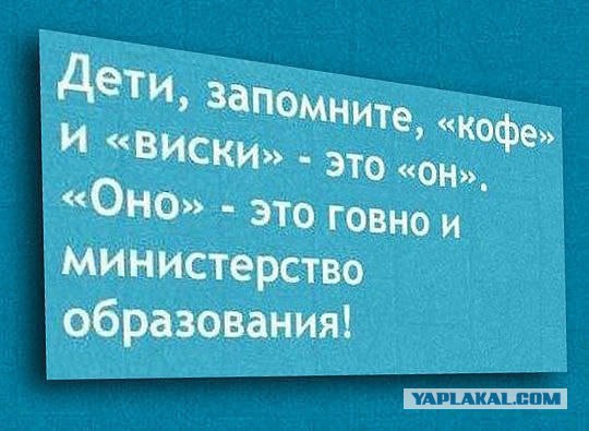 Настоящий ужас!