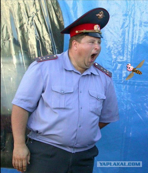 Вот так огламурилась питерская полиция