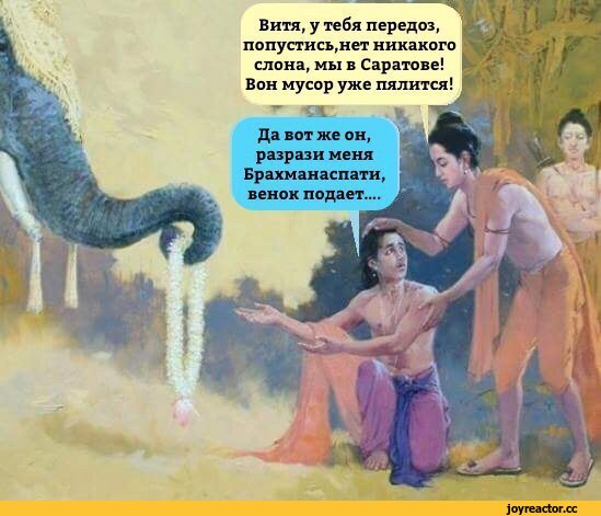 Эту собаку ненавидели и боялись, а она спасла ребенка у всех на глазах