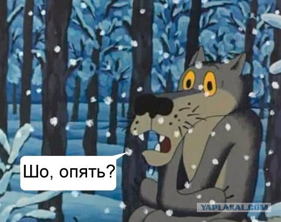 Брифинг Следственной группы в Гааге. Сбивший МН17 "Бук" принадлежал России, заявили международные следователи