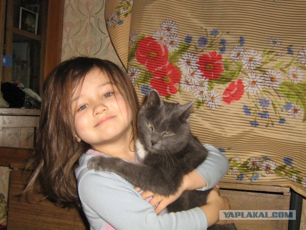 Котовторник 4.01.2011 - первый котовторник года