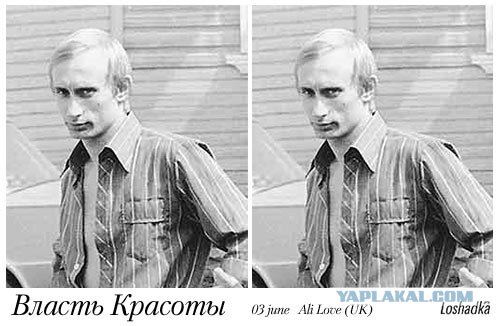 Кроноцкие токсикоманы