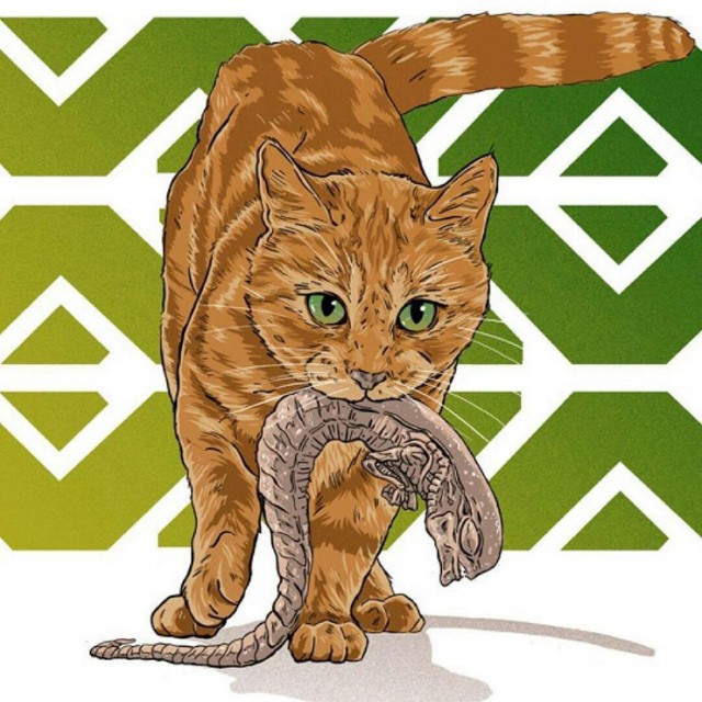 Кот коту рознь