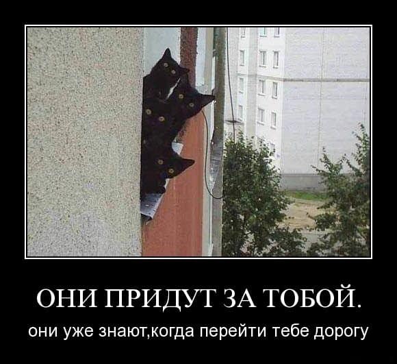 Небольшая подборочка для настроения