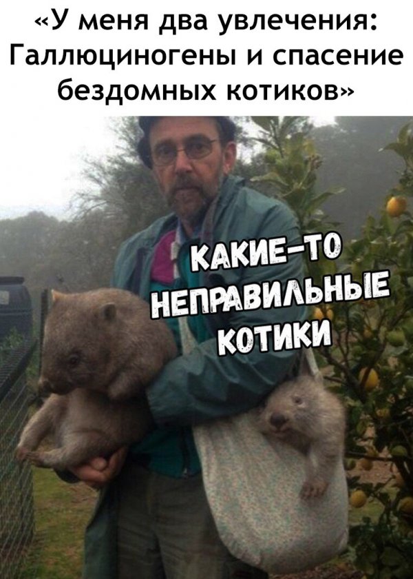 Нестандартный юмор