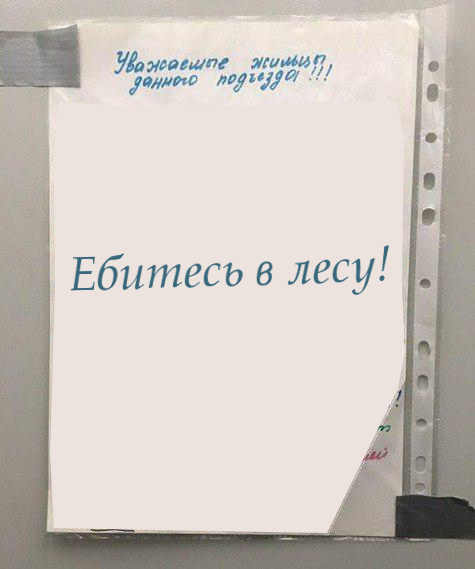 "В лес! Идите в лес!"