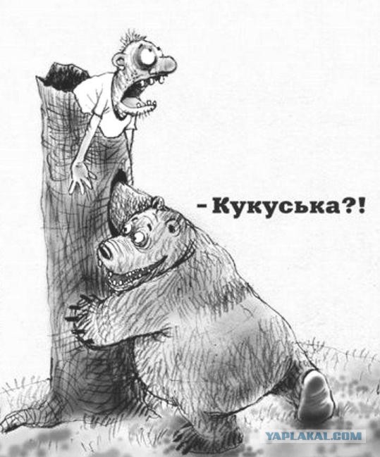 Картинки для улыбнуться 6.0