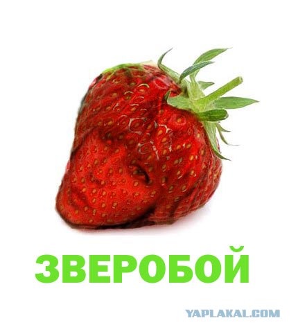 Фотожаба: Лето, фрукты, генетика!