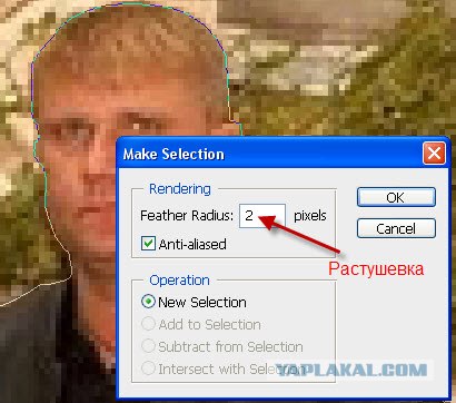 Школа Фотожабы