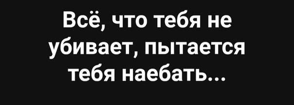 Цены ресторана московского аэропорта смутили даже москвичей....