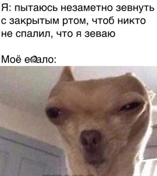 Баянисто-небаянистый юмор. 22.09.20