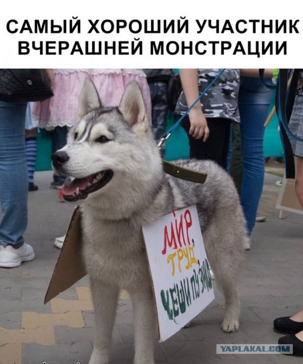 Картинок немного 02.09.20
