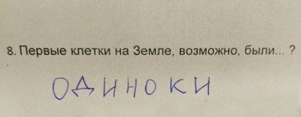 Баянисто-небаянистый юмор 15.11.20