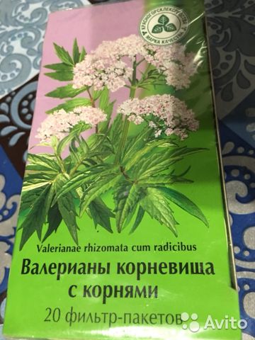 Алкоголь и мозг