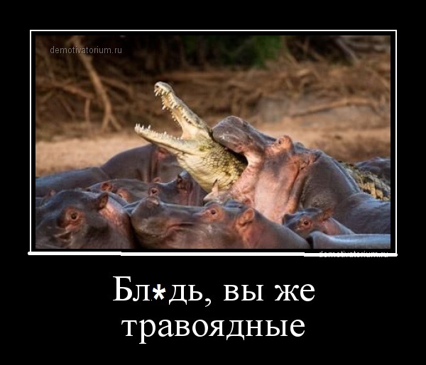 Результат раскопок на моем компе. Картинки разные, архивные, бессистемные