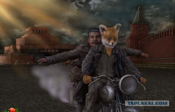 Таксидермия + наркомания