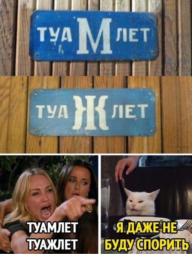 Кота не переубедить