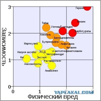 Русские в магазине фармацевтической марихуаны