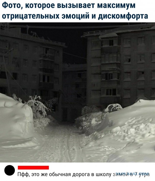 Воскресные кретинизмы из сети 07.02.21