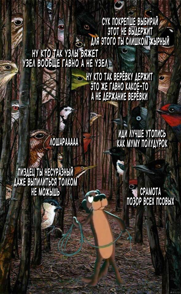 Весёлый полтишок 17.02