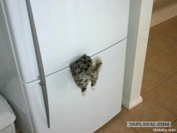 За что я не люблю ноутбуки