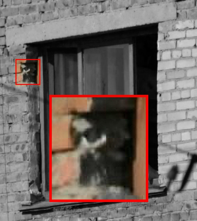 Оксана у окна в праздник