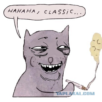 15617074.jpg