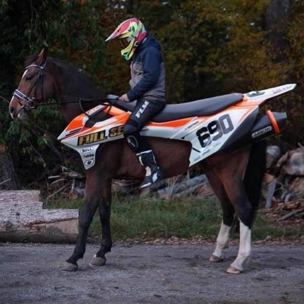Во Львове четверо чернокожих мужчин привели в парк и зажарили на костре козу