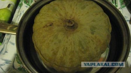 Снова тыква