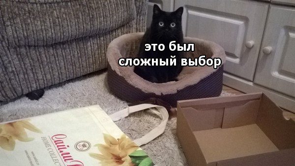 Картинки и мемы для настроения 07.10.2021
