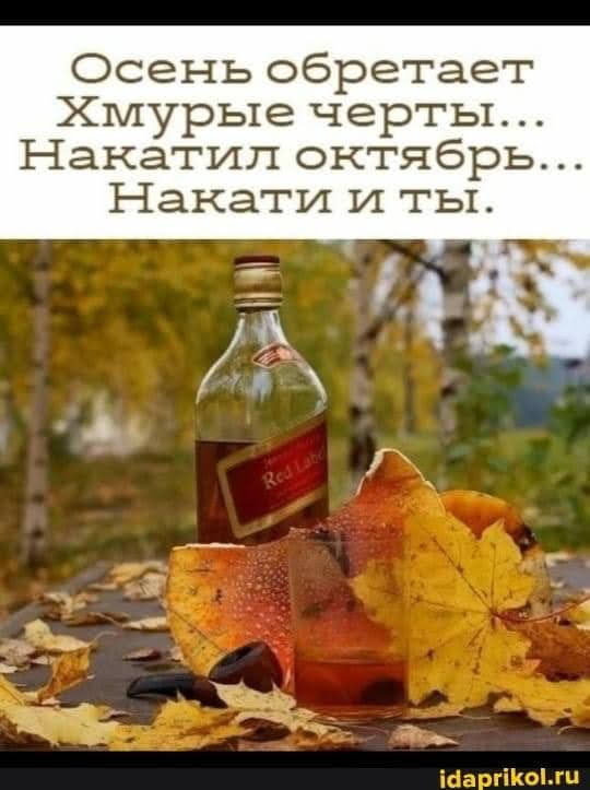 Всяческие картинки 02.11.2021