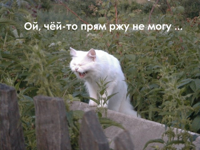 Картинки и буквы 15.07.22