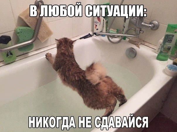 Так себе картинки 15.02.22
