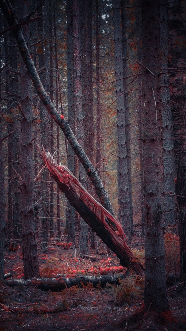 Я не самая лучшая представительница женского пола